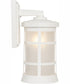Resilience Lanterns 1-Light Outdoor Wall Lantern Matte White
