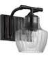 Destin 1-Light Vanity & Wall Black / Silver Accents