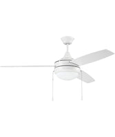 Ceiling Fans with Lights