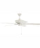 Ceiling Fans and Accessories