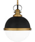 Sullivan Small 1-light Mini Pendant Matte Black