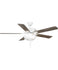 Ceiling Fans with Remotes