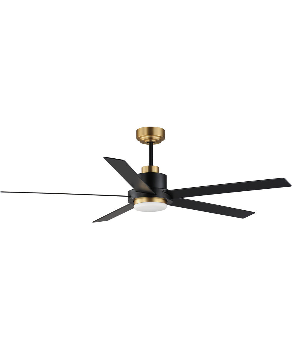 Daisy 60 inch 5-Blade Fan w LED Light Kit Black / Gold
