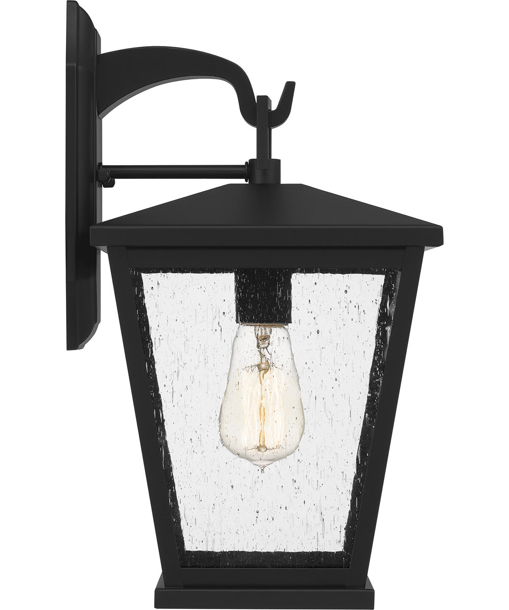 Joffrey Medium 1-light Outdoor Wall Light Matte Black