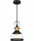 Quoizel Piccolo Pendant Small 1-light Mini Pendant Matte Black