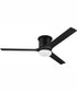 60" Burke 1-Light Ceiling Fan Flat Black