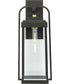 Walcott  1-Light  with Brasstone Accents Clear Glass Transitional Outdoor Wall Lantern Light Antique Bronze