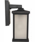 Resilience Lanterns 1-Light Outdoor Wall Lantern Matte Black