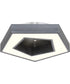Pentex 1-Light Led Flush Mount Charcoal Grey/Brushed Nickel