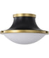 Lafayette 1-Light Close-to-Ceiling Matte Black