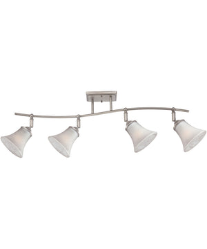 Duchess 4-light Track Light Antique Nickel