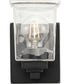 Gilmour 1-Light Modern Farmhouse Clear Glass Bath Vanity Light Matte Black