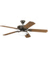 AirPro 52" 5-Blade Indoor/Outdoor Ceiling Fan Antique Bronze