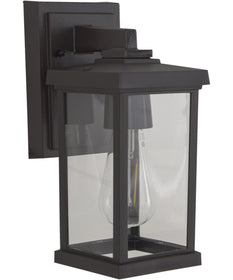 Resilience Lanterns 1-Light Outdoor Lantern Bronze