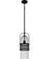 Quoizel Piccolo Pendant Small 1-light Mini Pendant Matte Black