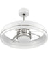 Taylor 24" 1-Light Ceiling Fan (Blades Included) White/Polished Nickel