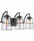 Sapelo 3-Light Vanity Bronze