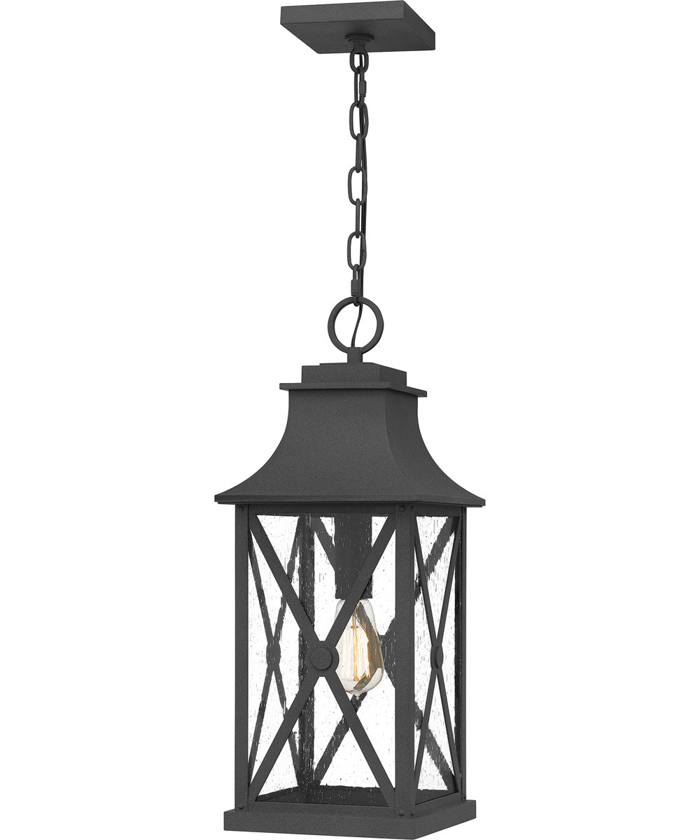 Ellerbee Large 1-light Outdoor Pendant Light  Coastal Armour Aluminum Mottled Black