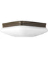 Appeal 2-Light 11" Flush Mount Antique Bronze