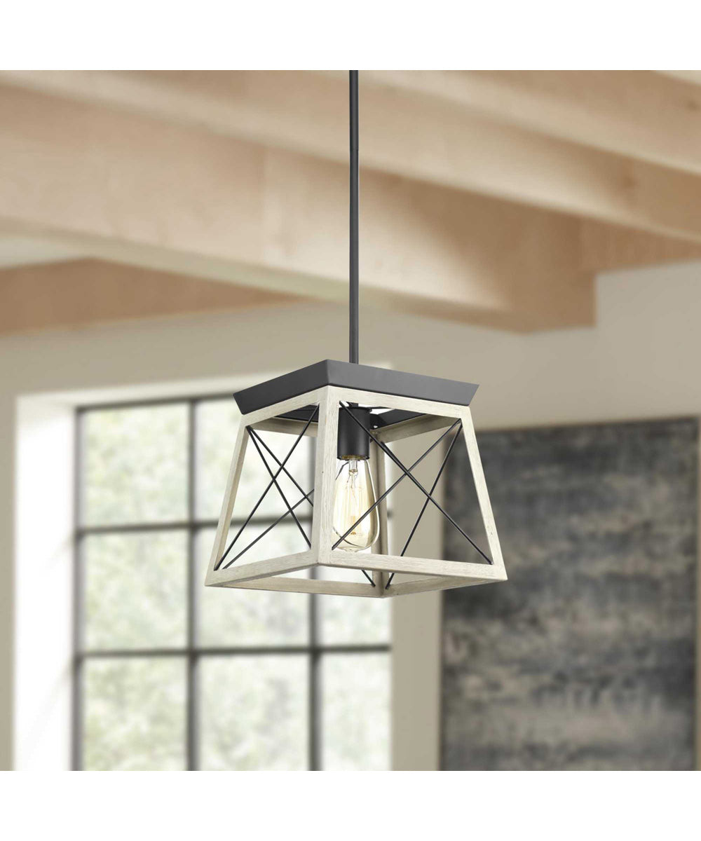 Briarwood 1-Light Coastal Mini-Pendant Light Graphite