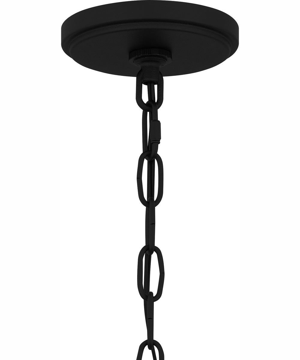 Clifton Large 1-light Outdoor Pendant Light  Coastal Armour Aluminum Earth Black