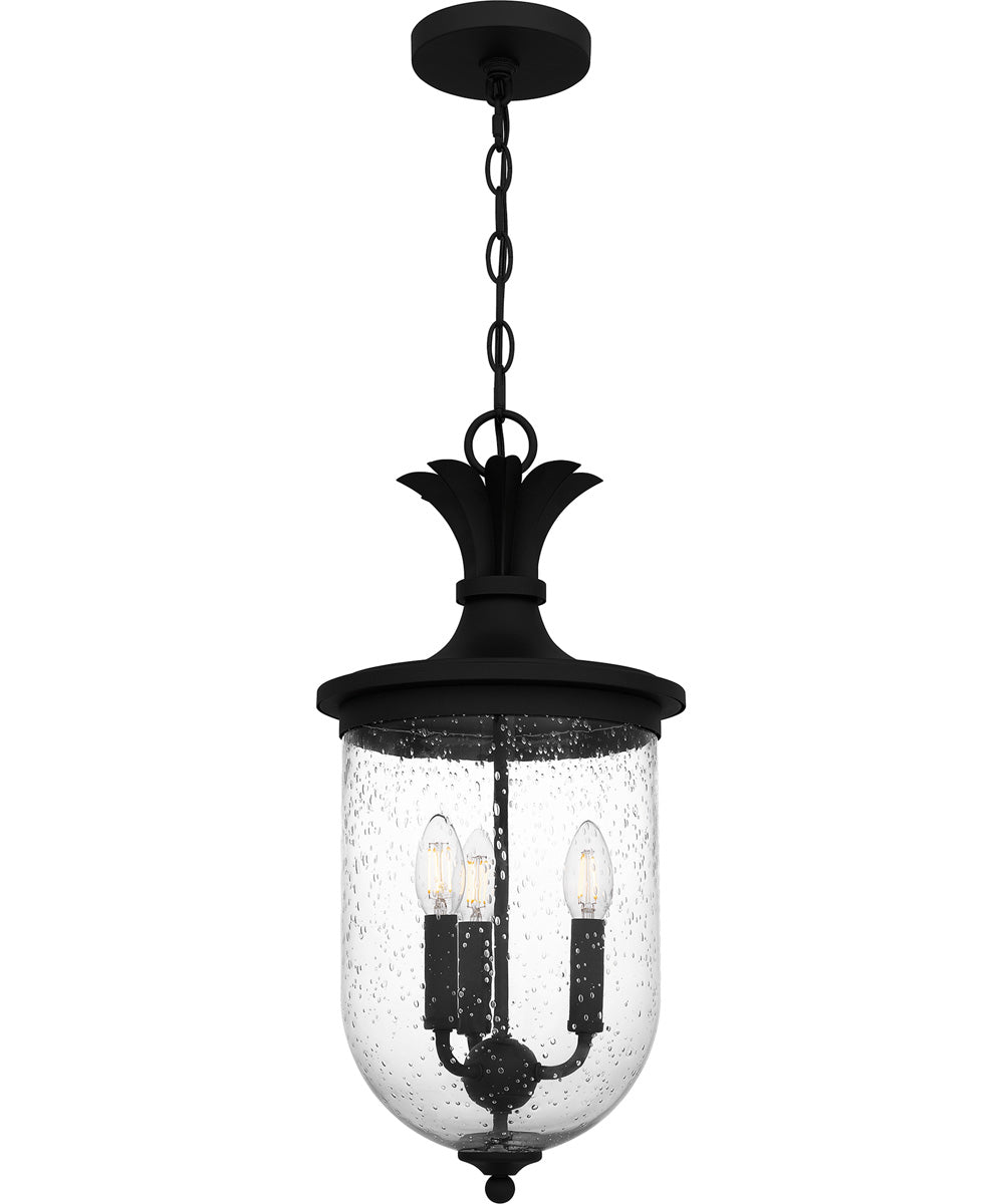 Havana Large 3-light Outdoor Pendant Light Earth Black