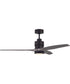 52" Sonnet 1-Light Ceiling Fan Flat Black