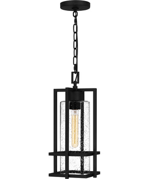 Damien Large 1-light Outdoor Pendant Light  Coastal Armour Aluminum Earth Black