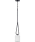 Tobin 1-Light Mini-Pendant Matte Black