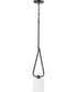 Tobin 1-Light Mini-Pendant Matte Black