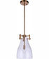 Chardonnay 1-Light Pendant Satin Brass
