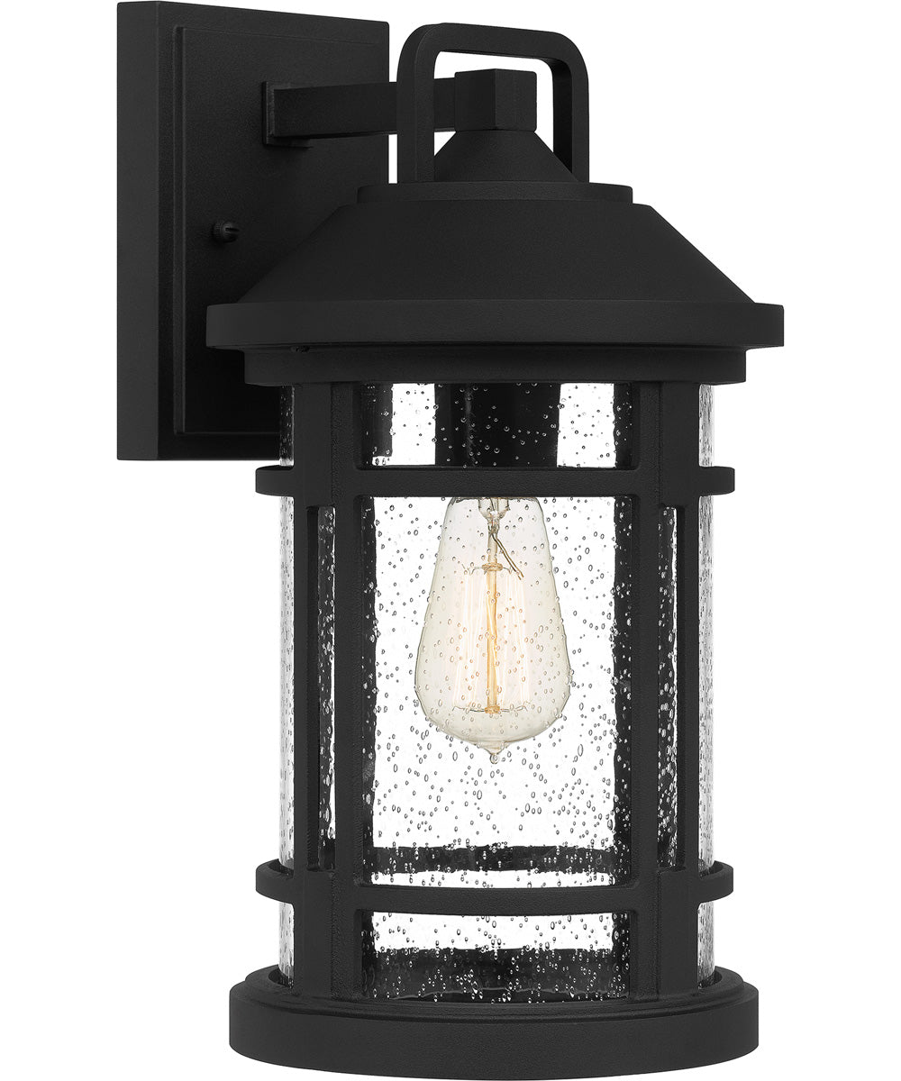 Quincy Large 1-light Outdoor Wall Light Earth Black