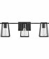 Filmore 3-Light Three Light Vanity in Black