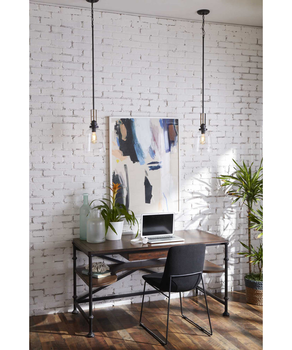 Rushton 1-Light Graphite/Vintage Brass Clear Glass Industrial Style Hanging Pendant Light Graphite