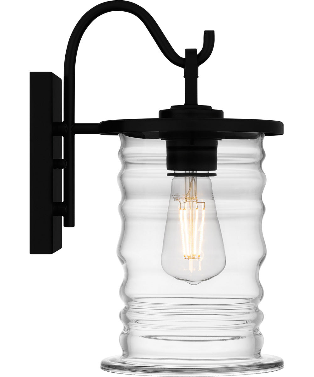 Noland Small 1-light Outdoor Wall Light  Coastal Armour Aluminum Matte Black