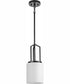 Goodwin 1-Light Modern Farmhouse Pendant Matte Black