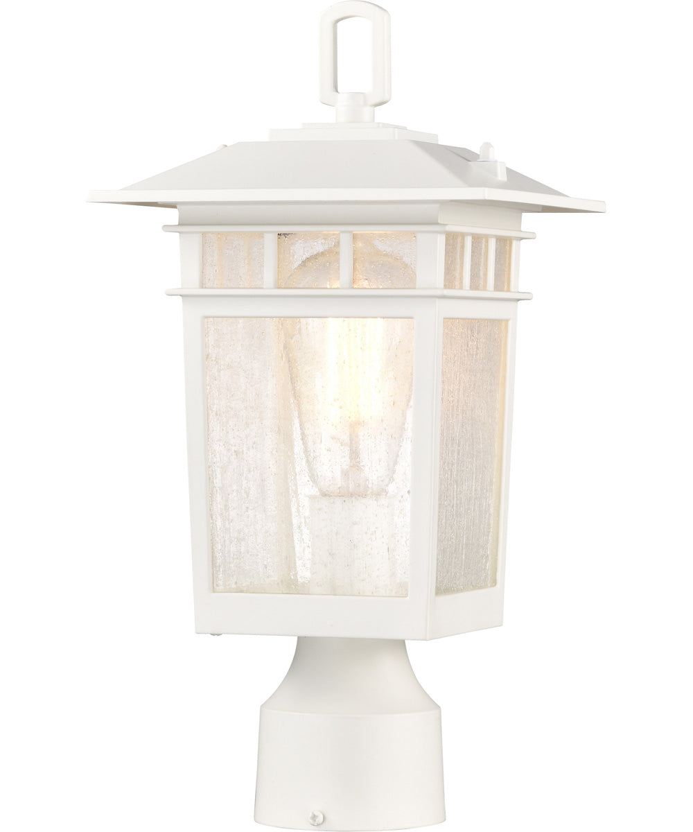 Cove Neck 1-Light Outdoor White