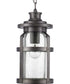 Haslett 1-Light Hanging Lantern Antique Pewter