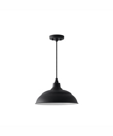 RLM 1-Light Outdoor Hanging-Lantern Rain or Shine - Black