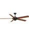 Large Ceiling Fans