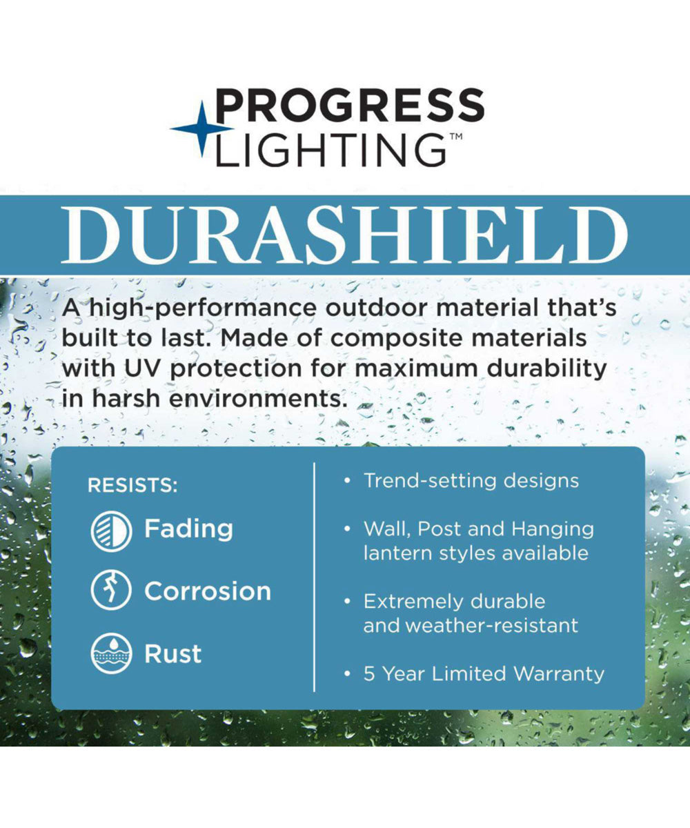 Gables 1-Light Clear Glass Transitional Style Outdoor Hanging Pendant Lantern with DURASHIELD Antique Bronze