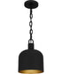 Quoizel Piccolo Pendant Small 1-light Mini Pendant Matte Black
