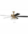 Ceiling Fans and Accessories