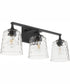 Eldorado 3-light Bath Vanity Light Matte Black