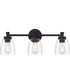 Henning 3-Light Vanity Flat Black