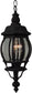 7"W French Style 1-Light Outdoor Pendant Matte Black
