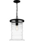 Noland Large 1-light Outdoor Pendant Light  Coastal Armour Aluminum Matte Black