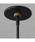 Admiralty 1-Light Outdoor Pendant Black / Antique Brass