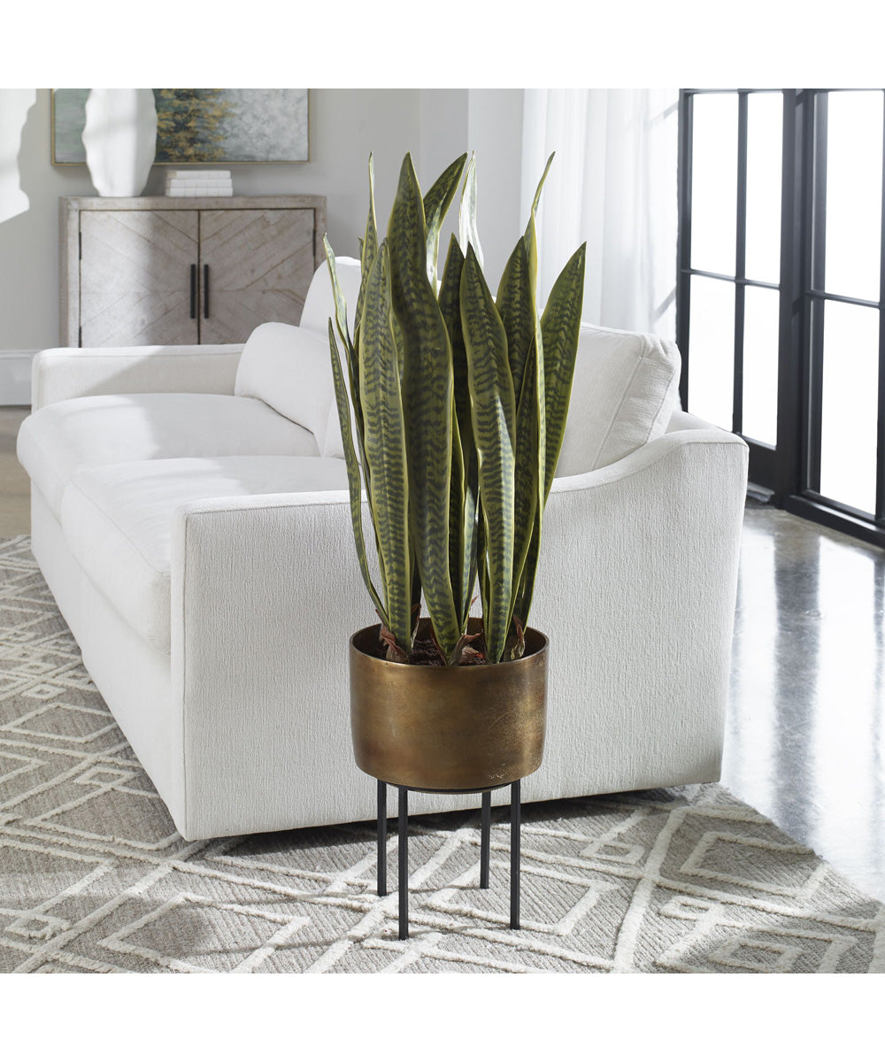 Fasita Brass Planter 2 Cartons