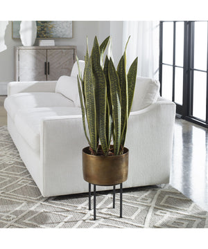 Fasita Brass Planter 2 Cartons